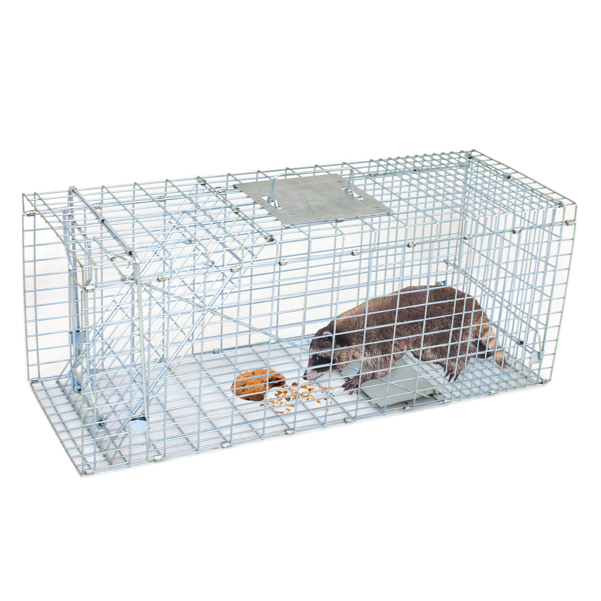 ZENY Live Animal Trap Cage - 32" X 12.5" X 12" Humane Catch & Release For Raccoons, Cats, Squirrels, Rabbits, Skunks