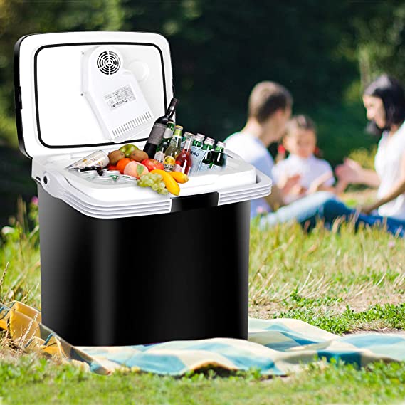 ZENY™ Mini Fridge Electric Cooler and Warmer for Car- 12V DC
